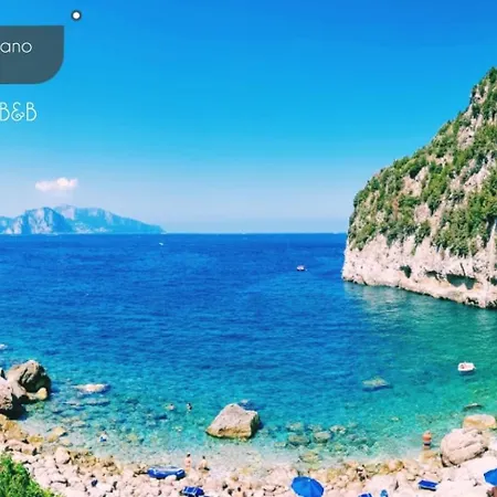 La Rondine Couette-café Massa Lubrense