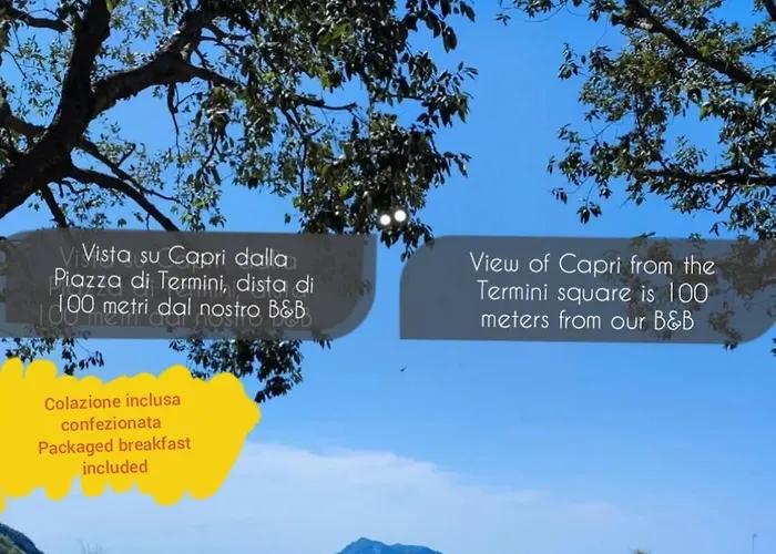 Bed & Breakfast La Rondine Massa Lubrense