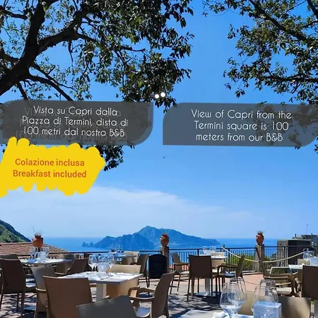 Bed & Breakfast La Rondine Massa Lubrense